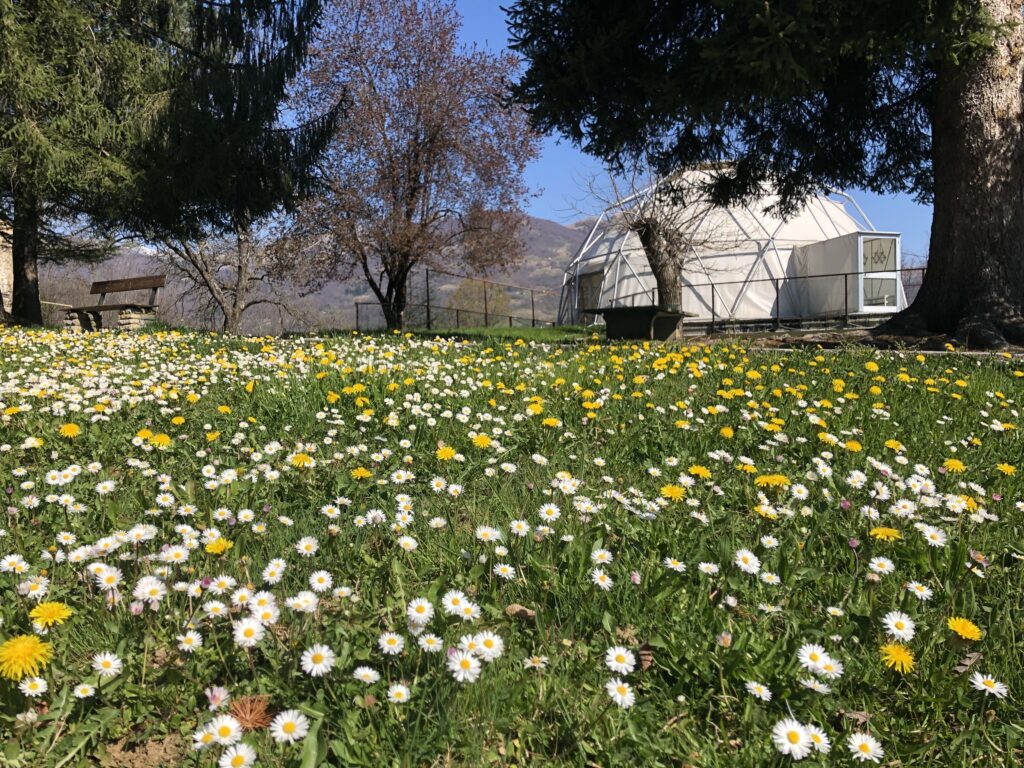 Sala geodetica “Dome”