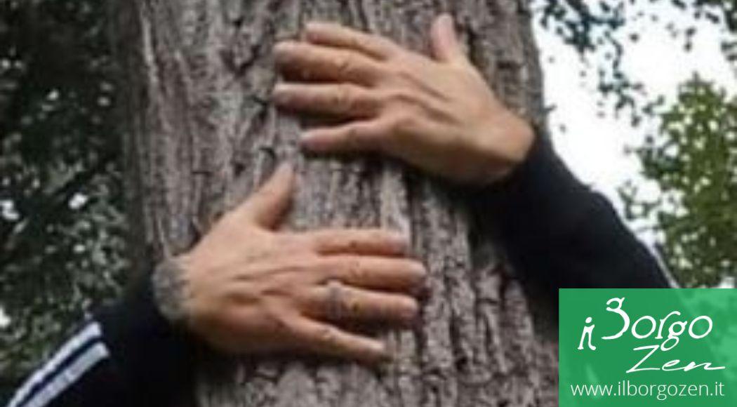 riscoprire-contatto-natura-benessere-abbraccio-alberi-borgo-zen-val-taleggio-olda